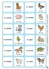 Memo-F Tiere-animal.pdf